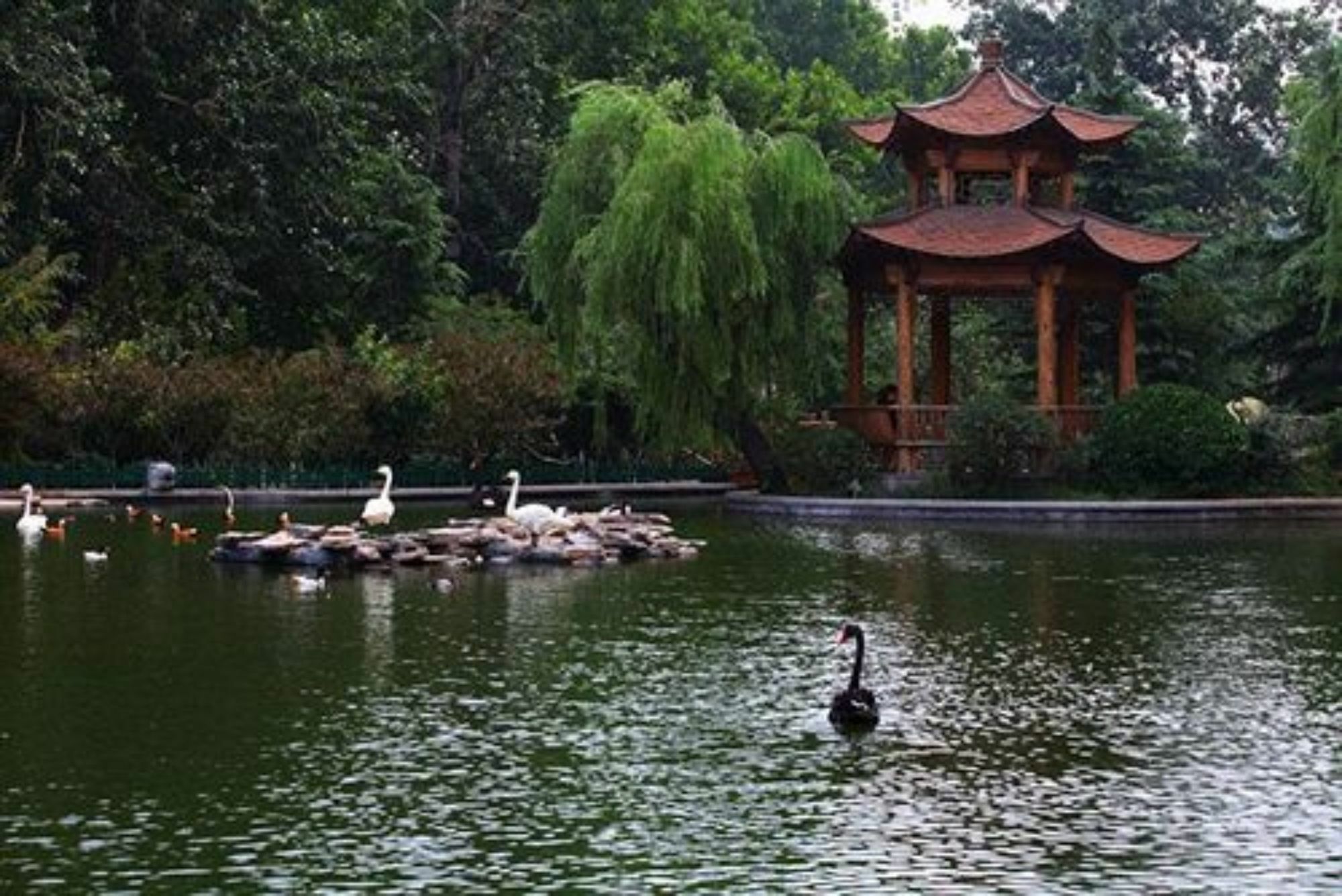 Shan Dong Hotel Csinan Kültér fotó